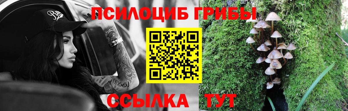 Аргун  Галлюциногенные грибы мицелий  Вход с VPN 